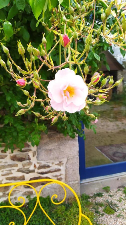 Ker Anahid - L'Atelier Pleslin-Trigavou Exterior foto